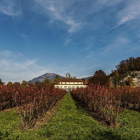 Villa Flora Anif Kültér fotó